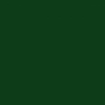 Color Forest Green